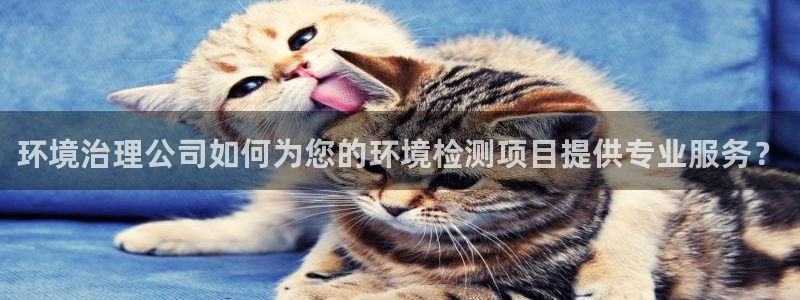 凯发k8国际首页登录：环境治理公司如何为