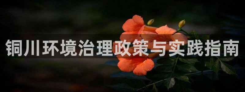 凯发k8国际首页登录|铜川环境治理政策与实践指南