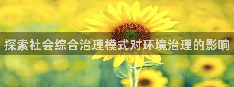 凯发国际官方网站|探索社会综合治理模式对