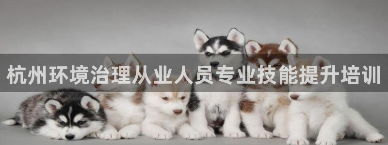 凯发k8国际唯一|杭州环境治理从业人员专
