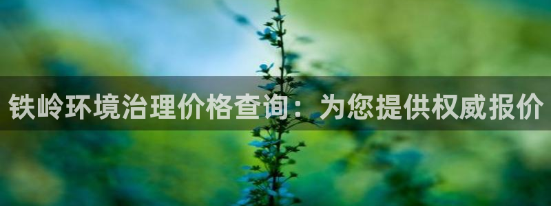 凯发就来凯发天生赢家一触即发|铁岭环境治理价格查询：为您提供权威报价