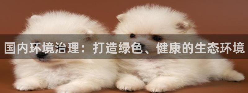 凯发官方首页|国内环境治理：打造绿色、健康的生态环境