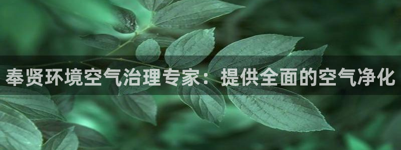 k8凯发国际官方入口|奉贤环境空气治理专家：提供全面的空气净化