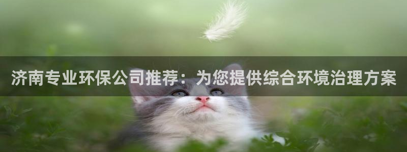 凯发国际官方网站|济南专业环保公司推荐：