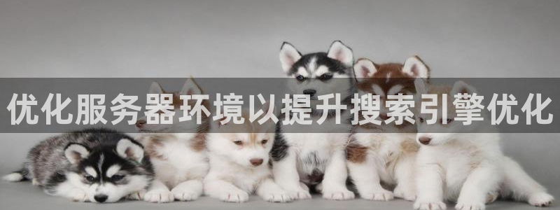 凯发k8网站是多少|优化服务器环境以提升搜索引擎优化
